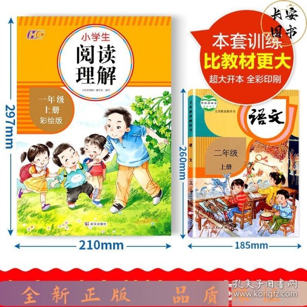 阅读理解 一年级上册 小学生专项训练书题入门 小学语文天天练 每日一练练习册