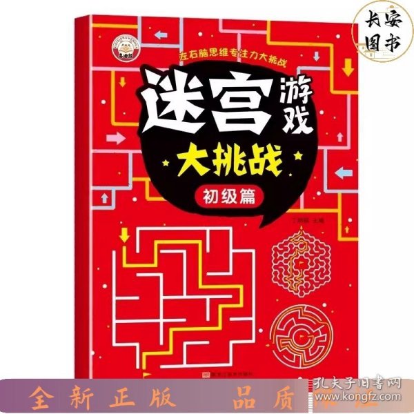 迷宫游戏大挑战（全4册）