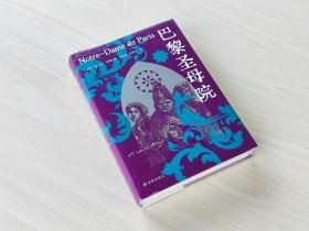 巴黎圣母院（雨果精选集）翻译家施康强、张新木译本，精选内文插图，附赠雨果作品海报和藏书票