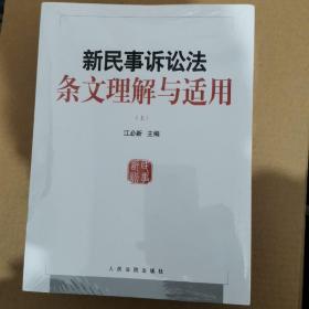 新民事诉讼法条文理解与适用（套装上下册）