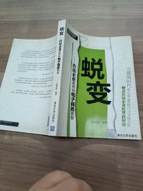 蜕变：传统企业如何向电子商务转型