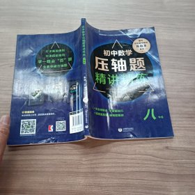 初中数学压轴题精讲精练（八年级）