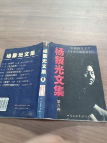 杨黎光文集8：打捞失落的岁月