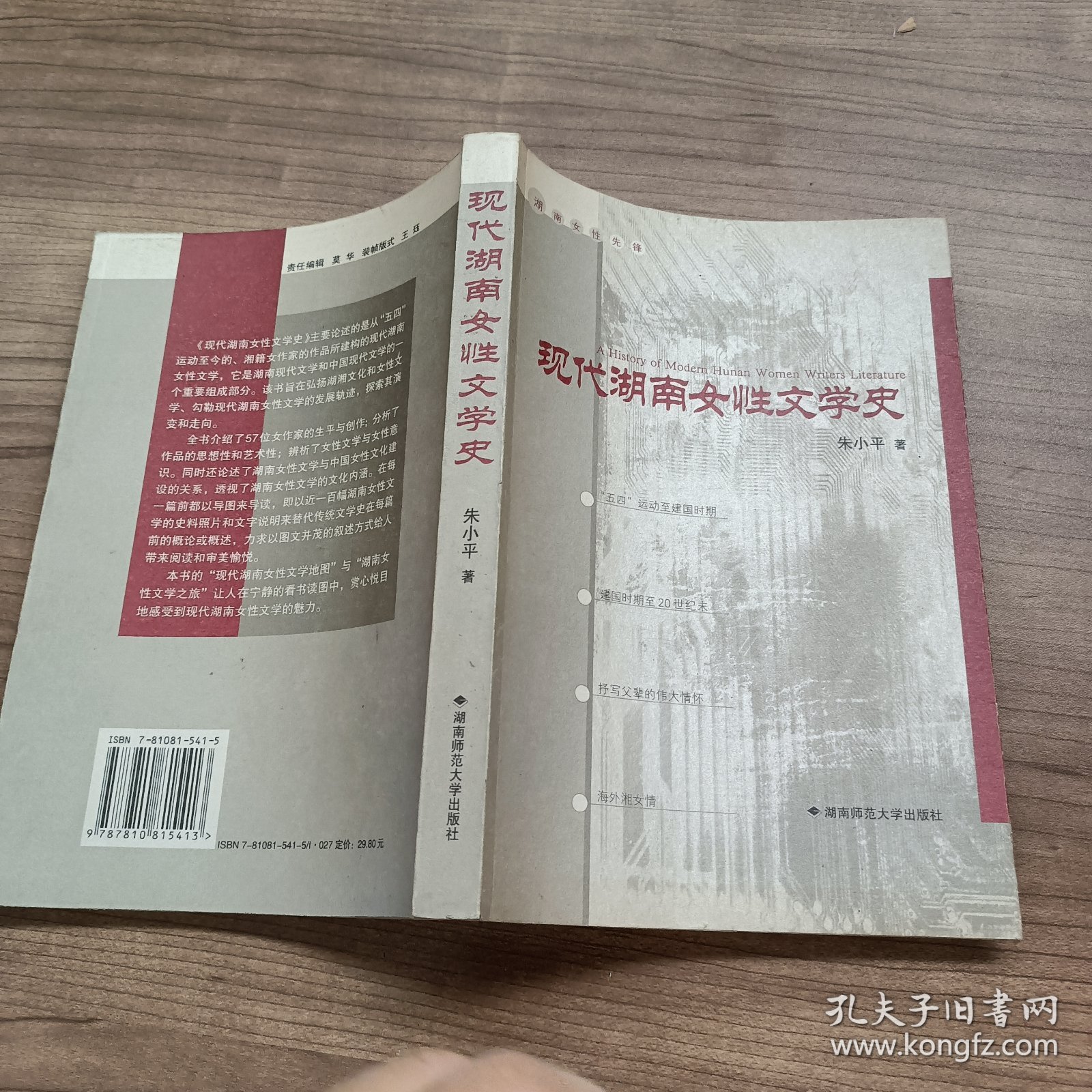 现代湖南女性文学史