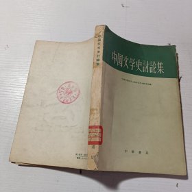 中国文学史讨论集