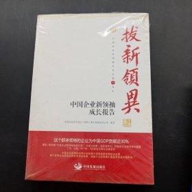 拔新领异 中国企业新领袖成长报告