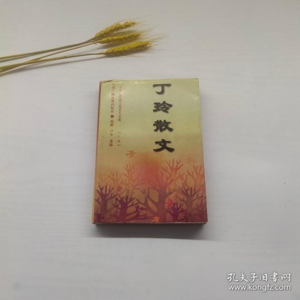 丁玲散文(上下)