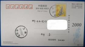 HP2000（12-2）龙年贺卡明信片首日（11月1日）上海闵行实寄