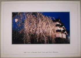 日本弘前公园风光明信片-夜色中的樱花（新）