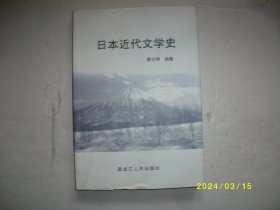 日本近代文学史（日文版）