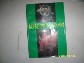 切花.养花300例