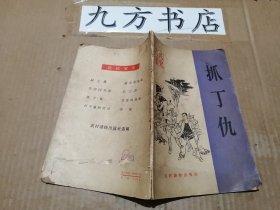 农民家史 ：抓丁仇