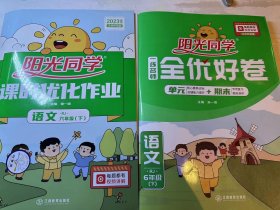 阳光同学课时优化作业语文六年级下