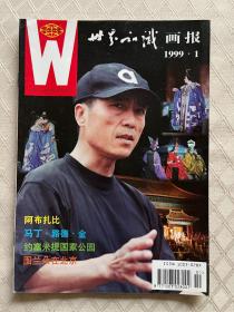 《世界知识画报》（1999年全年12册全）