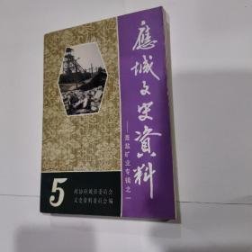 应城文史资料5--膏盐矿业专辑之一：