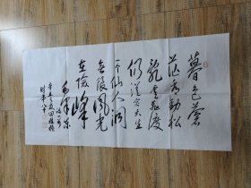 名人字画 田植桢手书毛主席诗词 七绝·为李进同志题所摄庐山仙人洞照  暮色苍茫看劲松”辛丑 时年八十（139×69cm）