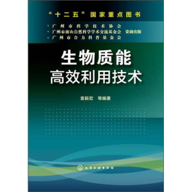 生物质能高效利用技术