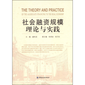 社会融资规模理论与实践