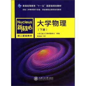 大学物理（下册）/普通高等教育“十一五”国家级规划教材·新核心理工基础教材