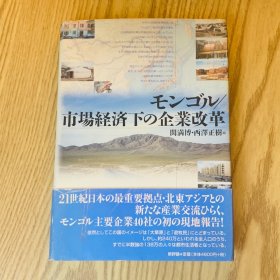 日本日文原版书 市场经济下的企业改革/市場経済下の企業改革 西澤正樹 新評論