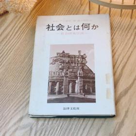 日本日文原版书 什么是社会 野村博 法律文化社