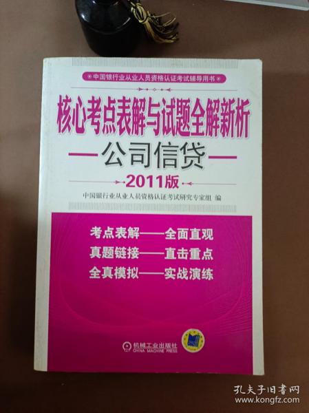 核心考点表解与试题全解新析：公司信贷