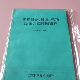 实用针灸、推拿、气功经络穴位挂图图解