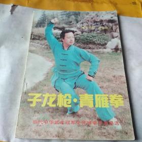 子龙枪 青雁拳