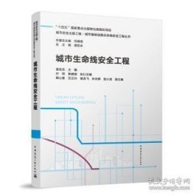 城市生命线安全工程