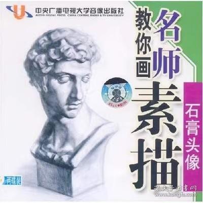 名师教你画素描系列之 石膏头像 2VCD 光盘视频