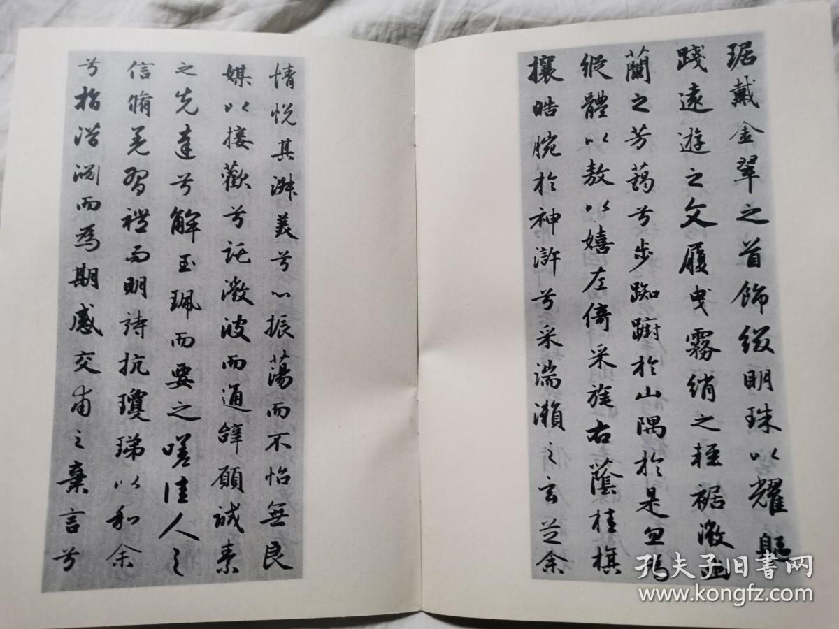 历代碑帖书法选：清金农楷书消寒诗序册、元赵孟頫书洛神赋、明詹景风书千字文、唐柳公权书神策军碑、晋王献之洛神赋十三行、元赵孟頫书妙严寺记、唐颜真卿书多宝塔碑、唐褚遂良书雁塔圣教序记、唐欧阳询书化度寺碑、唐欧阳询书九成宫醴泉铭、唐怀素自叙帖真迹【11册合售 16开 具体看图见描述】