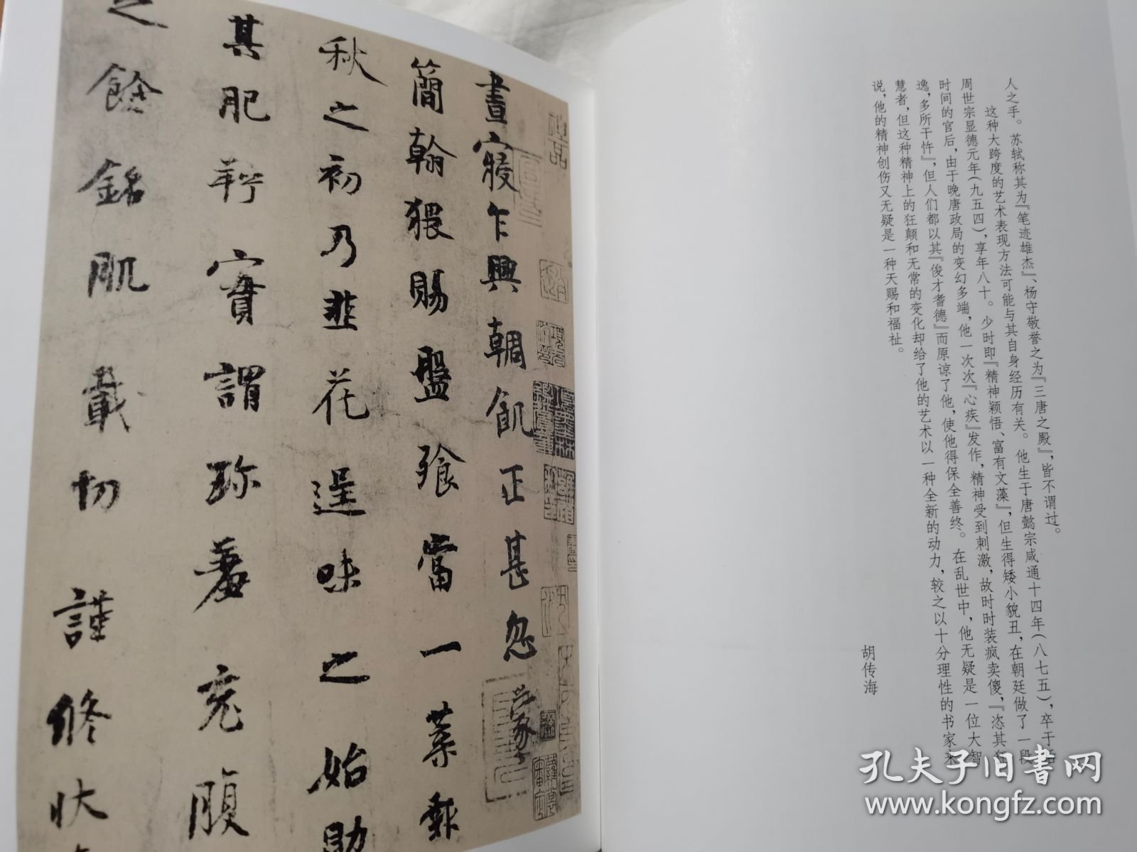 杨凝式墨迹（中国墨迹经典）【大16开 2002年一印 5000册 全铜版印刷】