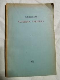 ALGEBRAIC VARIETIES 代数流形【英文版 小16开 看图见描述】