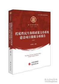 托底性民生保障政策支持系统建设项目数据分析报告