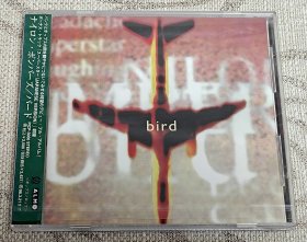 英国摇滚乐队Nilon Bombers专辑《Bird》