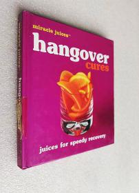 Hangover Cures: Juices for Speedy Recovery（精装原版外文书）袖珍本
