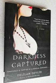 Darkness Captured: A Novel (原版外文书)