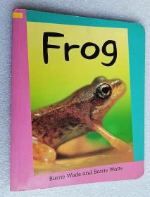 Frog (Reading Corner Grade 1)平装原版外文书
