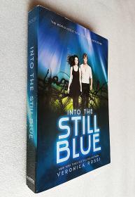 Into the Still Blue ( Under the Never Sky Trilogy)（原版外文书）