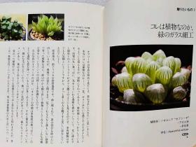 ひみつの植物（日文原版书）