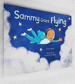Sammy Goes Flying（平裝大16開原版外文書）