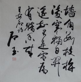 赵石玉《墙角数枝梅》约68cmx68cm.

不议价.不议价.不议价.