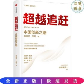 超越追赶——中国创新之路