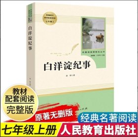 白洋淀纪事 名著阅读课程化丛书（统编语文教材配套阅读）七年级上