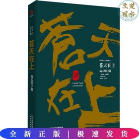 陆天明当代作品精选：苍天在上