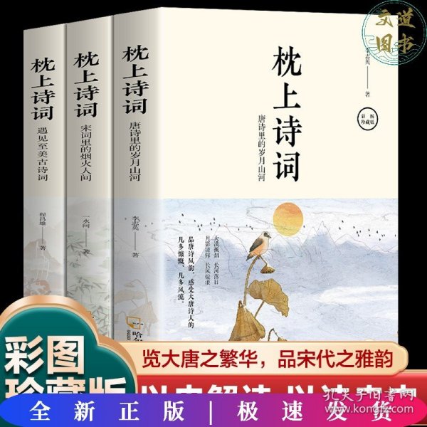 全套3册 枕上诗词书 一诗一词念红尘一字一句品人生领略古诗词之美排解当下的忧愁与焦虑提升文化气质与内涵中国古诗词阅读书籍