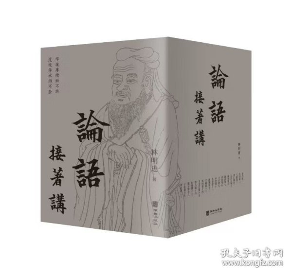 论语接着讲（全5册）