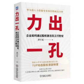 力出一孔：企业如何通过股权激活员工 洪千武                     打胜仗