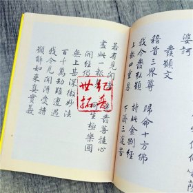 正版 筆走龍蛇:雍正手書《金剛般若波羅蜜經》及當代注譯 笔走龙蛇 胡雪峰主编 宗教文化出版社161页n