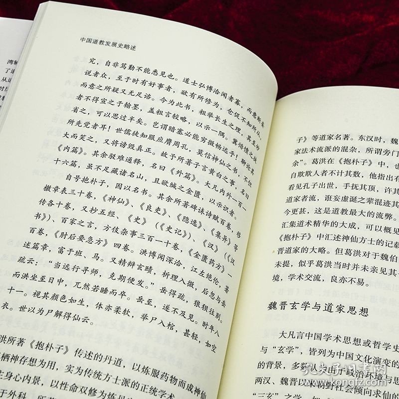 正版现货南怀瑾新版中国道教发展史略述中国古代哲学宗教书籍国学传统文化道教道家社会科学哲学经典书籍知识读物人民东方出版社